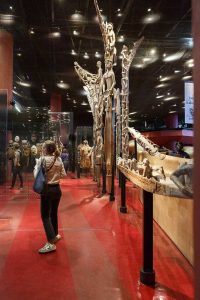 découvrez les trésors fascinants du musée du quai branly à paris : une collection unique d’arts et d’objets venus d’afrique, d’asie, d’océanie et des amériques, à travers un parcours culturel enrichissant.