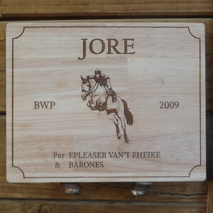 découvrez notre guide de choix complet pour sélectionner la meilleure plaque de boxe chevaux, alliant confort et sécurité pour vos animaux.