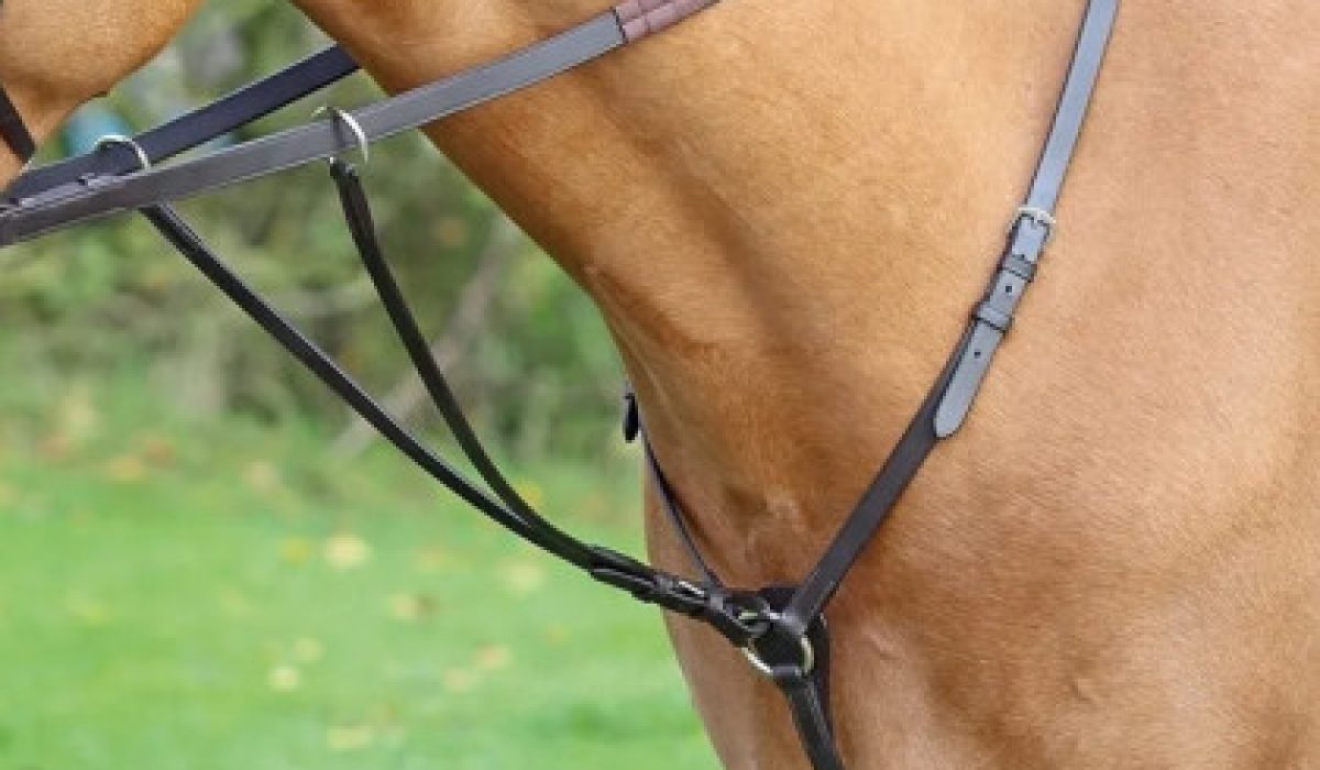 découvrez l'intérêt d'un collier de chasse pour chevaux : confort, protection et performance lors de vos sorties en pleine nature.